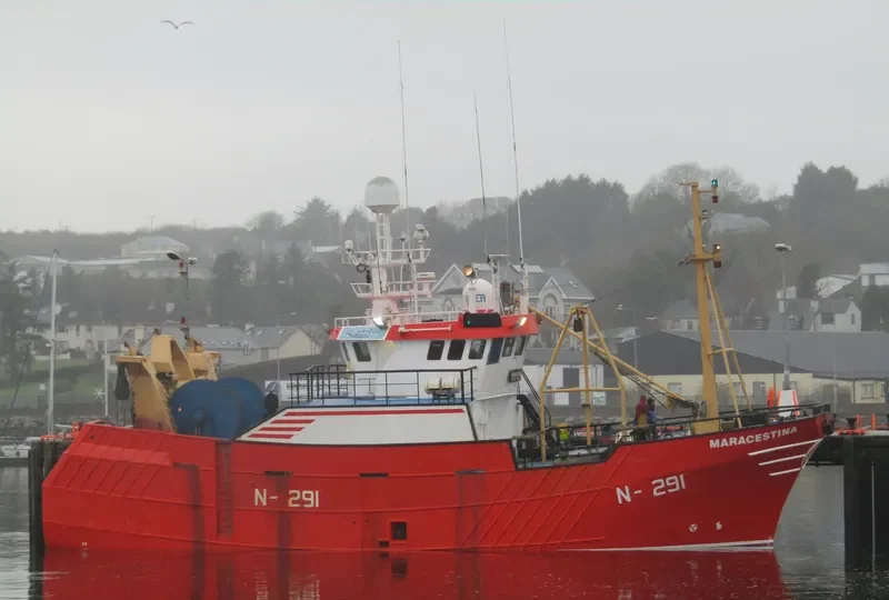 MARACESTINA General Cargo IMO 9165102 photo 4