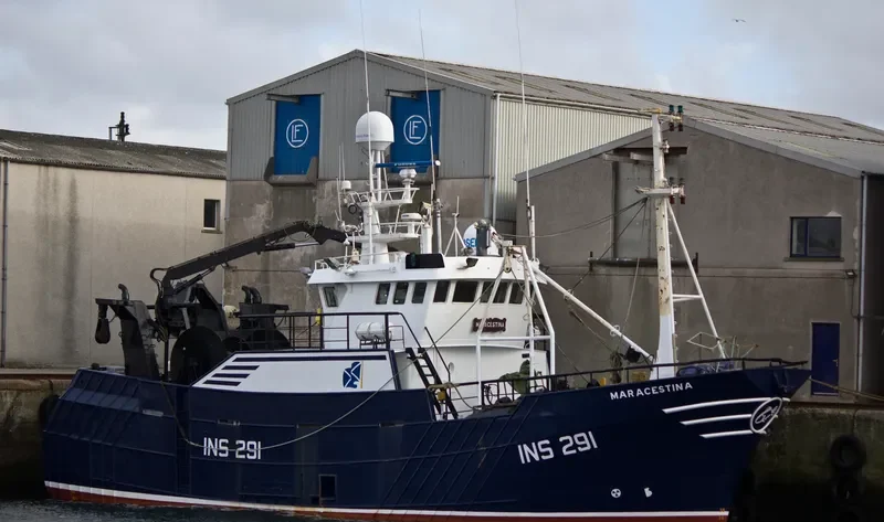 MARACESTINA General Cargo IMO 9165102 photo 9