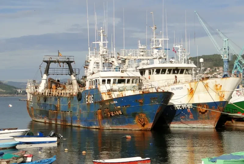 MAR TERRA General Cargo IMO 9165126