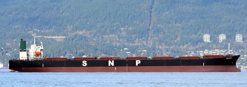 THE ABLE Bulk Carrier IMO 9165190 photo 7