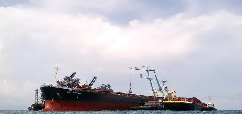 LADY CEDROS Bulk Carrier IMO 9165504 photo 3