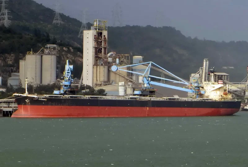 LADY CEDROS Bulk Carrier IMO 9165504 photo 7