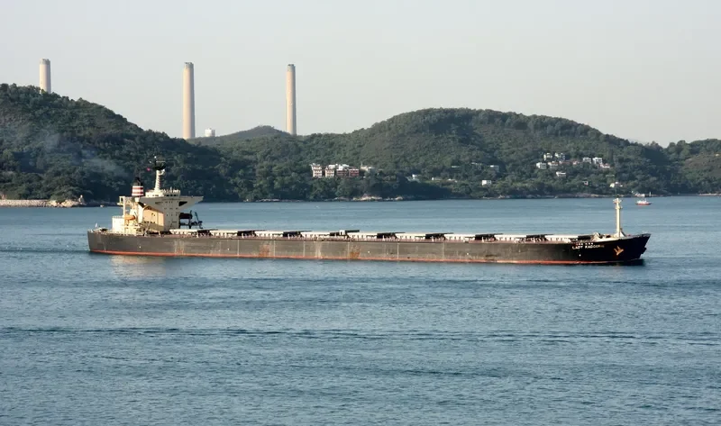 LADY CEDROS Bulk Carrier IMO 9165504 photo 8