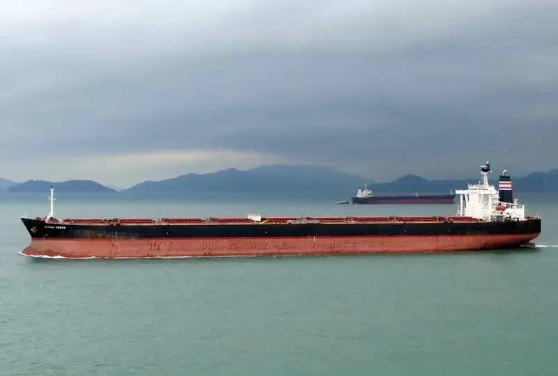 CAPE OSPREY Bulk Carrier IMO 9165516 photo 2