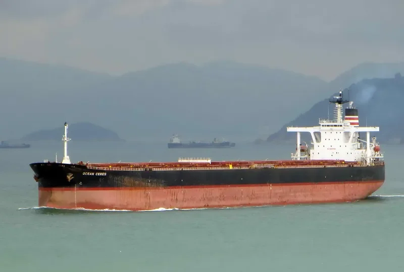 CAPE OSPREY Bulk Carrier IMO 9165516 photo 3