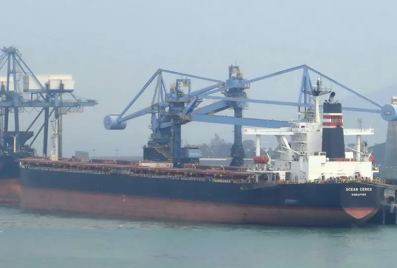 CAPE OSPREY Bulk Carrier IMO 9165516 photo 6