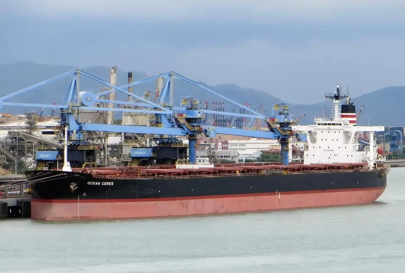 CAPE OSPREY Bulk Carrier IMO 9165516 photo 7