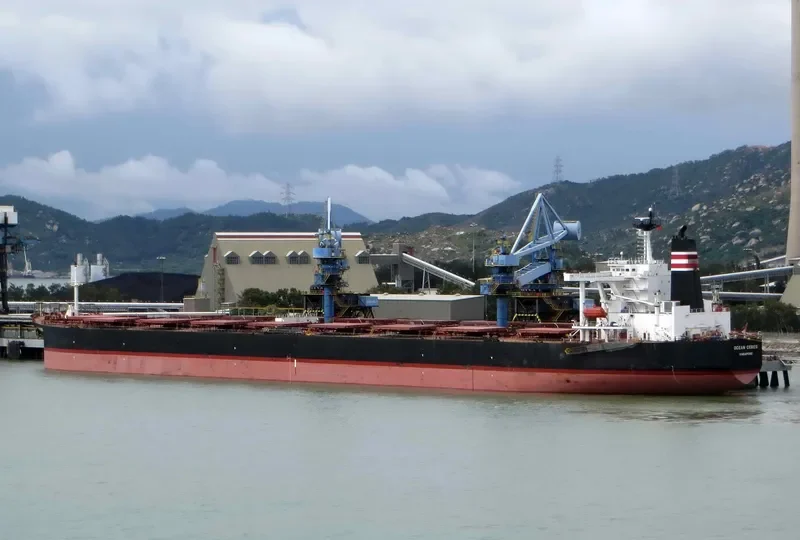 CAPE OSPREY Bulk Carrier IMO 9165516 photo 10