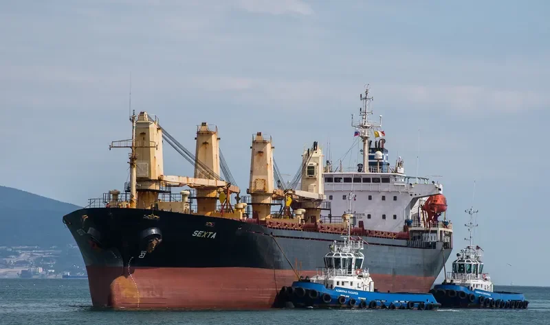 SEXTA Bulk Carrier IMO 9165695 photo 8