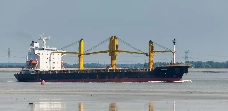 AREZOO Container Ship IMO 9165786