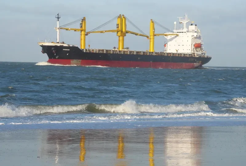 AREZOO Container Ship IMO 9165786 photo 4