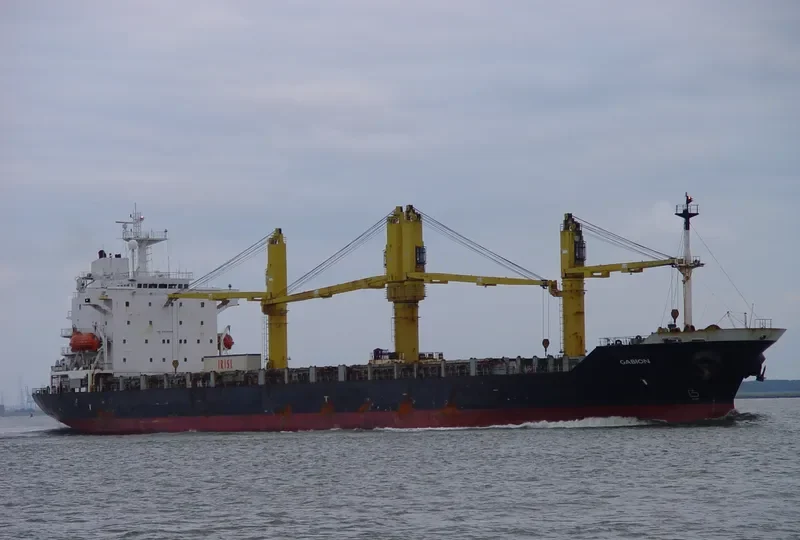 AREZOO Container Ship IMO 9165786 photo 8