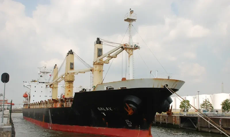 ALVAN Container Ship IMO 9165798 photo 6