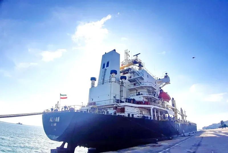 ALVAN Container Ship IMO 9165798 photo 7