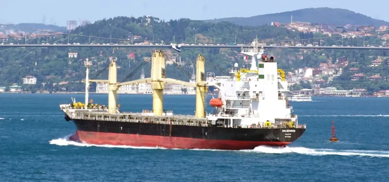 ELYANA General Cargo IMO 9165827