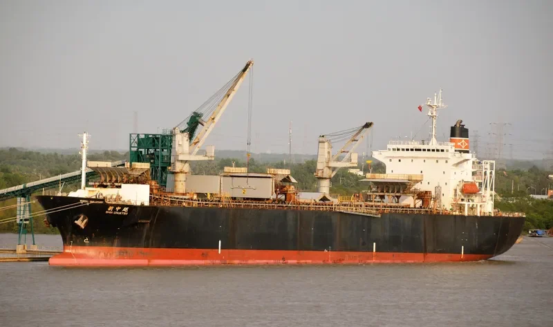 THANH THANH DAT 9999 Bulk Carrier IMO 9166297
