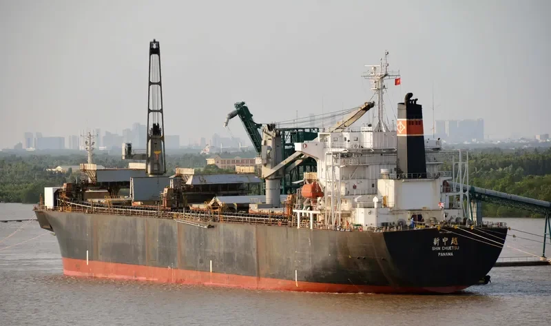 THANH THANH DAT 9999 Bulk Carrier IMO 9166297 photo 2