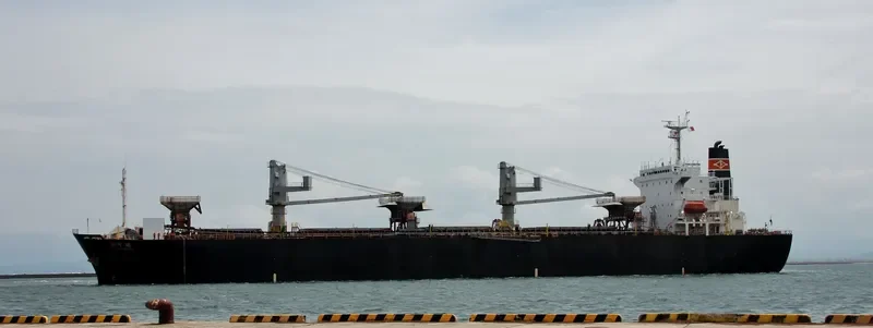 THANH THANH DAT 9999 Bulk Carrier IMO 9166297 photo 3