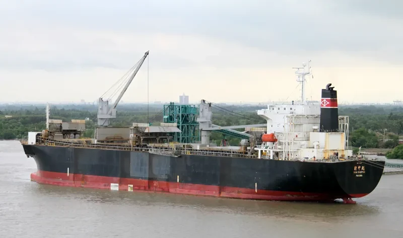 THANH THANH DAT 9999 Bulk Carrier IMO 9166297 photo 4