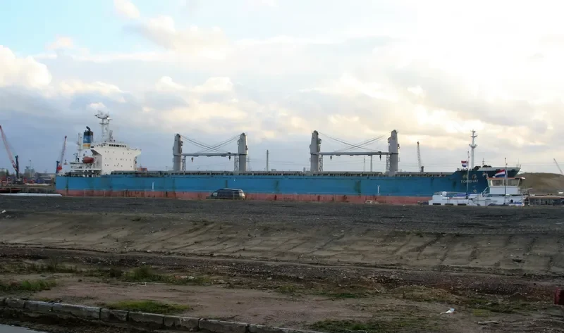 TONGHAI Bulk Carrier IMO 9166302 photo 3