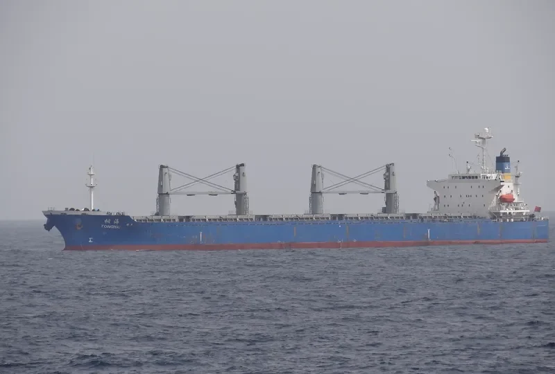 TONGHAI Bulk Carrier IMO 9166302 photo 4
