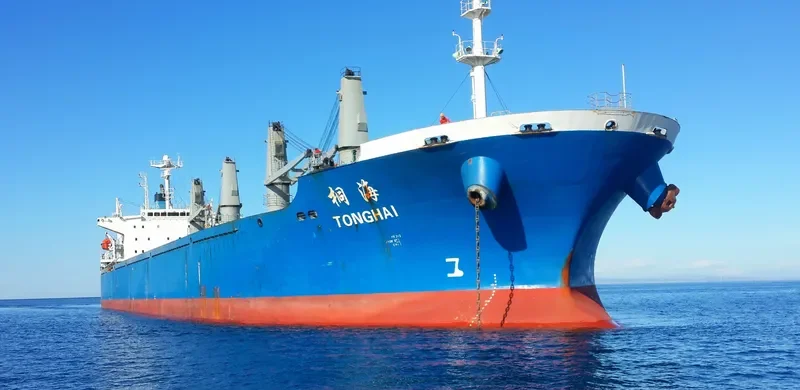 TONGHAI Bulk Carrier IMO 9166302 photo 5
