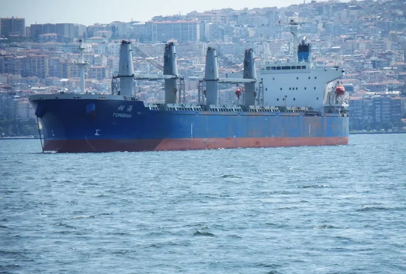 TONGHAI Bulk Carrier IMO 9166302 photo 7