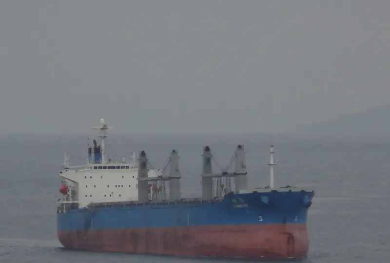 TONGHAI Bulk Carrier IMO 9166302 photo 10