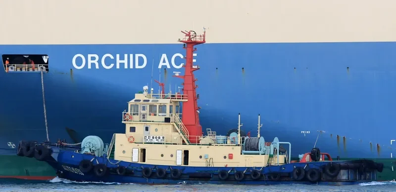 SUNJIN NO.808 General Cargo IMO 9166340 photo 3