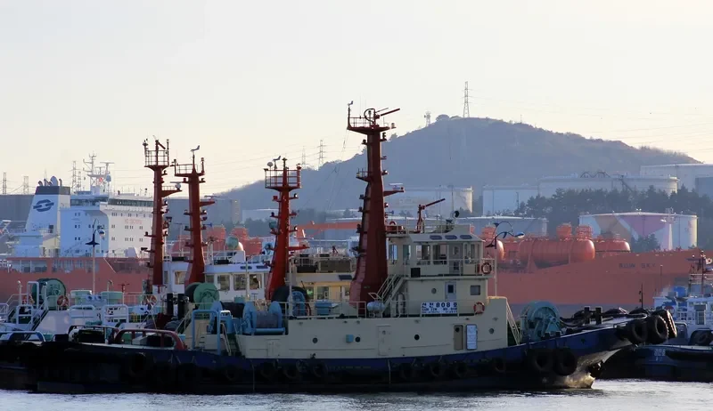 SUNJIN NO.808 General Cargo IMO 9166340 photo 5