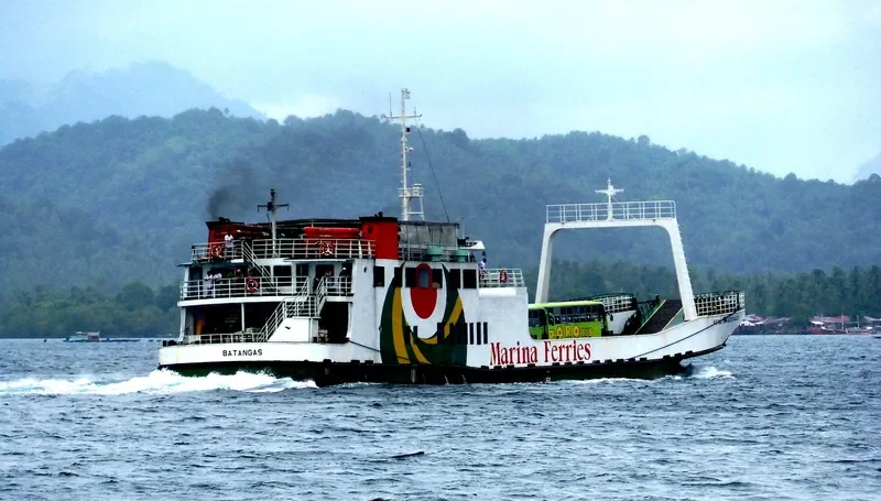 REINA BANDERADA Passenger Ship IMO 9166352 photo 2