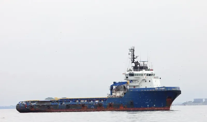 SEA TIGER General Cargo IMO 9166376 photo 2