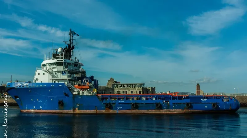 SEA TIGER General Cargo IMO 9166376 photo 3