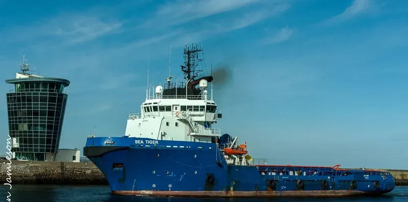 SEA TIGER General Cargo IMO 9166376 photo 4
