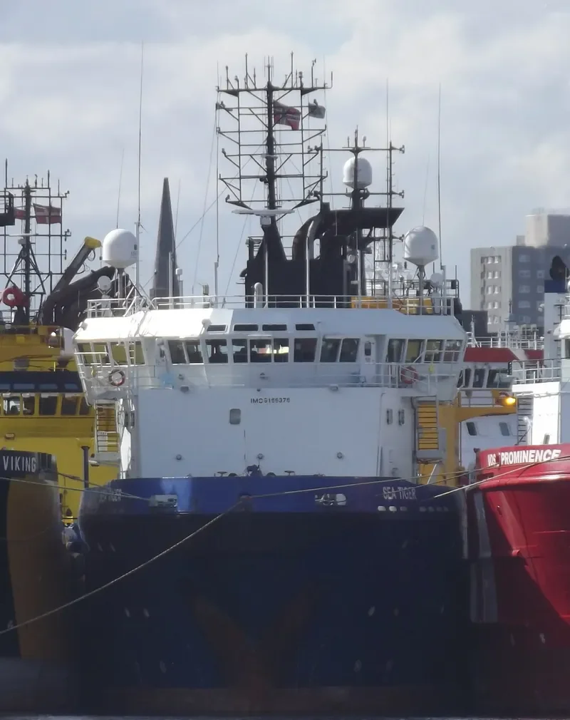 SEA TIGER General Cargo IMO 9166376 photo 5