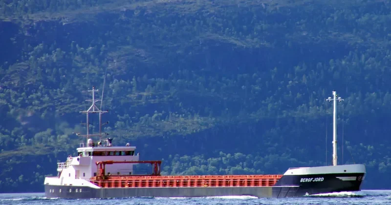 BERGFJORD General Cargo IMO 9166455 photo 2