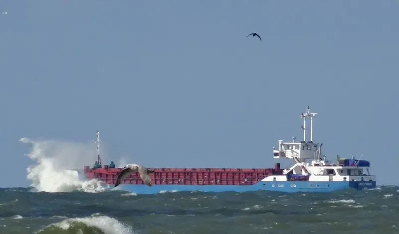 TAK 7 General Cargo IMO 9166534