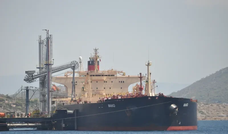 ZHEN HUA 7 General Cargo IMO 9166560 photo 7