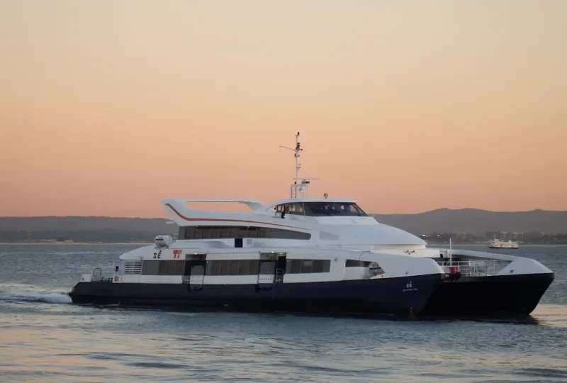 SE Passenger Ship IMO 9166596