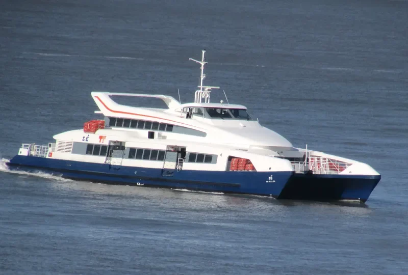 SE Passenger Ship IMO 9166596 photo 4