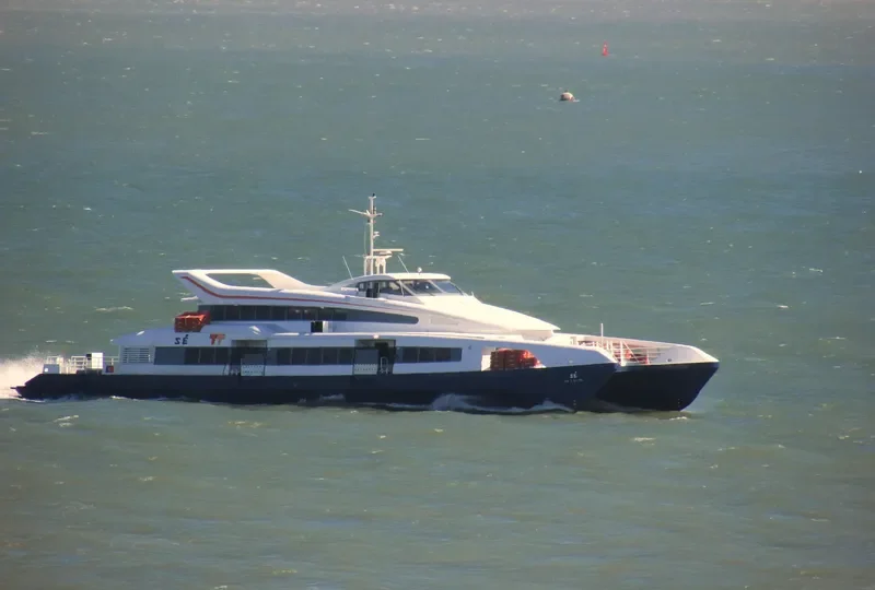 SE Passenger Ship IMO 9166596 photo 5