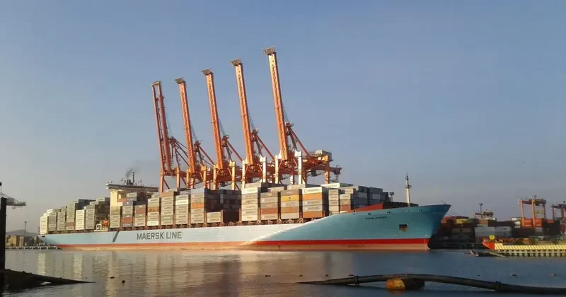 SOROE MAERSK Container Ship IMO 9166780 photo 7