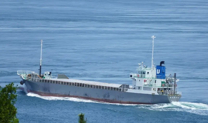 WAKAYOSHI MARU NO.5 General Cargo IMO 9166807 photo 7