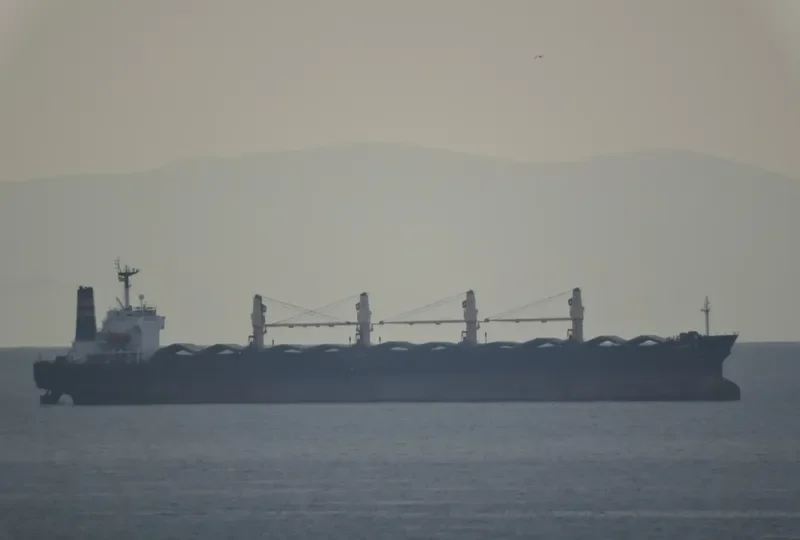 MARYAM Bulk Carrier IMO 9166883