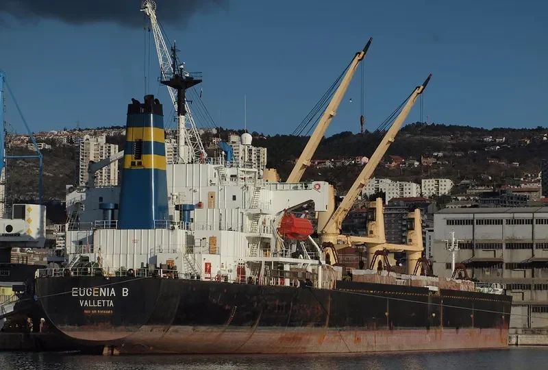 MARYAM Bulk Carrier IMO 9166883 photo 3