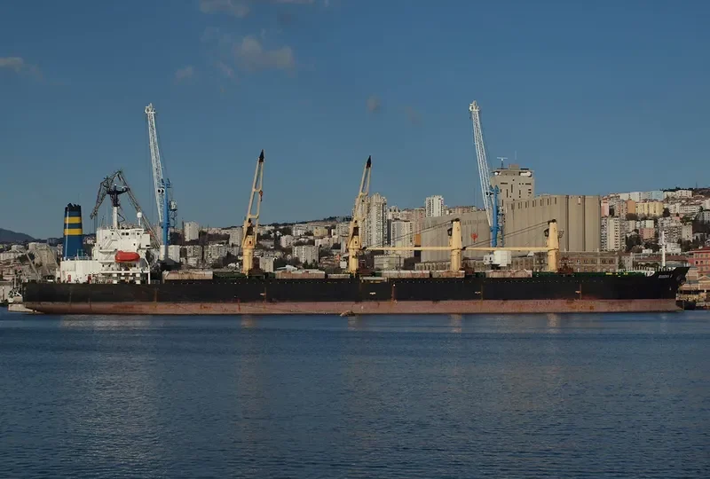 MARYAM Bulk Carrier IMO 9166883 photo 4