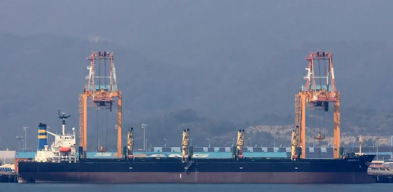 MARYAM Bulk Carrier IMO 9166883 photo 5