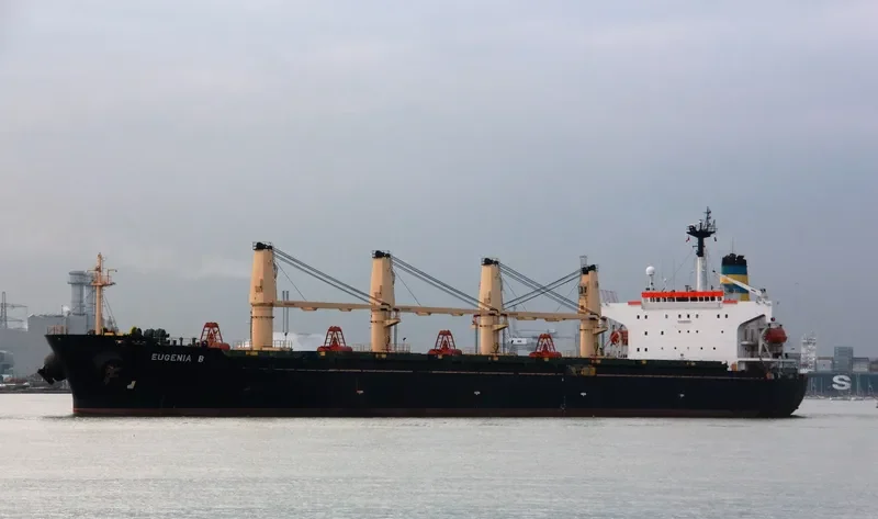 MARYAM Bulk Carrier IMO 9166883 photo 6