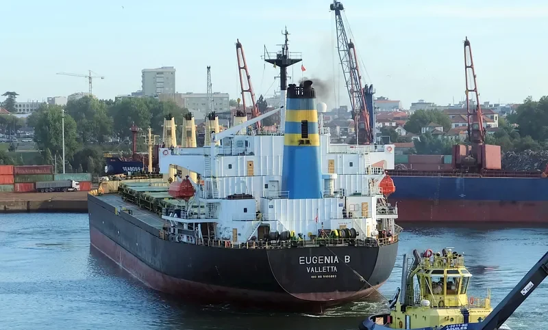 MARYAM Bulk Carrier IMO 9166883 photo 7