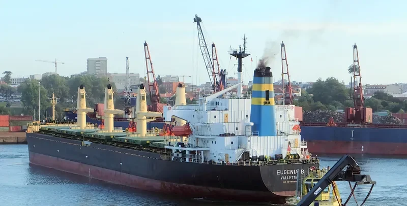 MARYAM Bulk Carrier IMO 9166883 photo 8